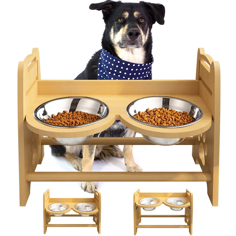 Do Large Dogs Need Raised Bowls